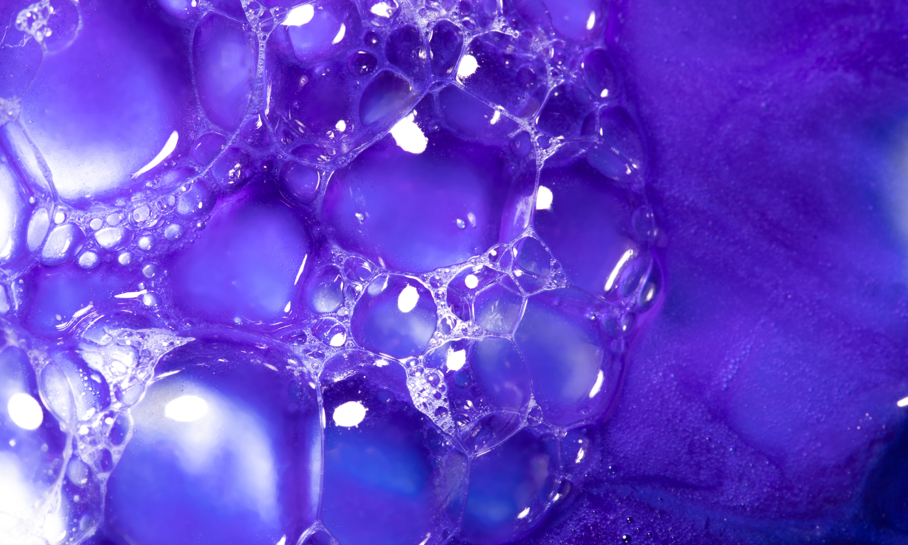 Purple Shampoo 101: How to Tone & Refresh Blonde Hair