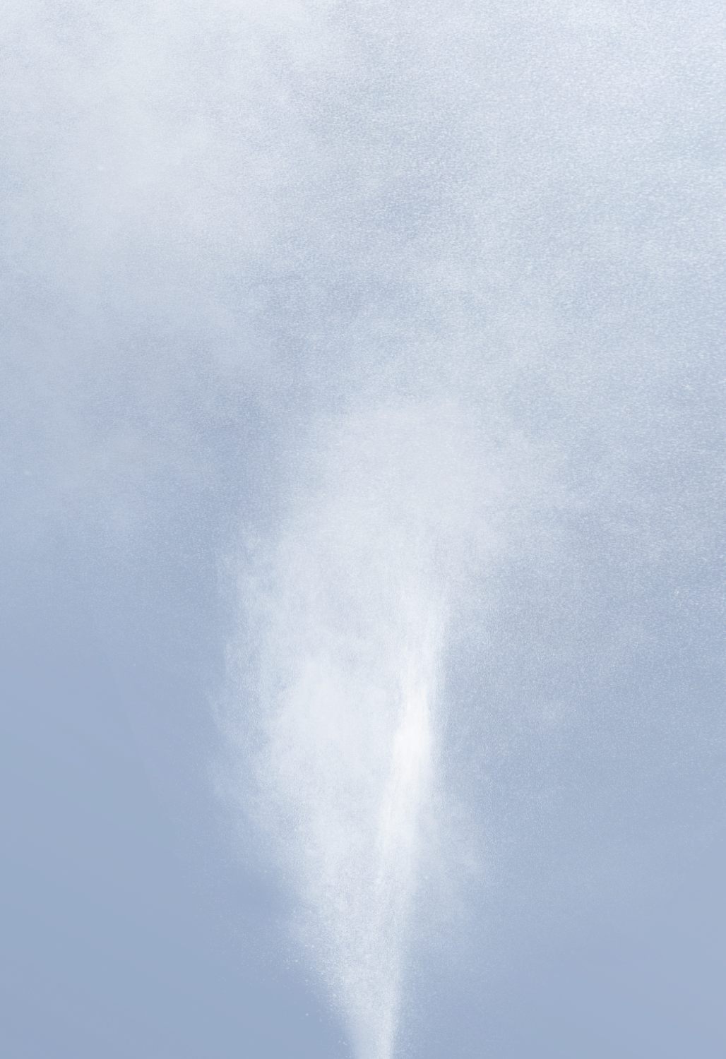 BOOST X Dry Shampoo + FREE Beanie