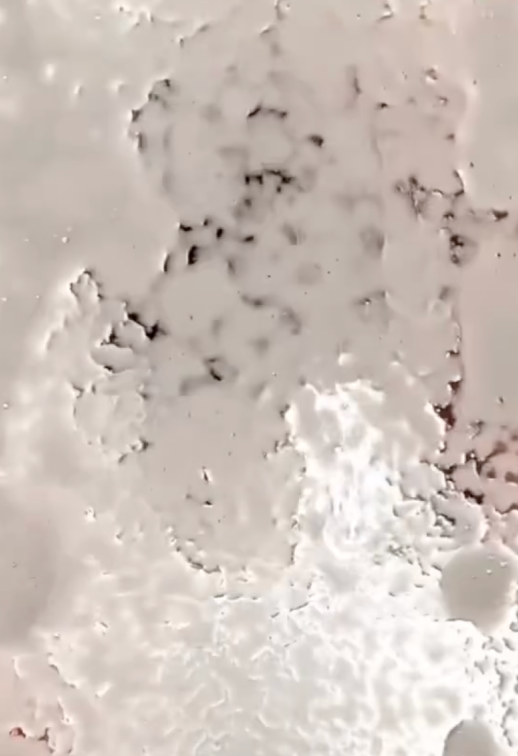 Wavetech Nex-Gen Wave Conditioning Mist