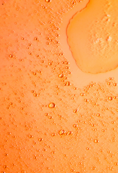 Wavetech Wave Revival Mist