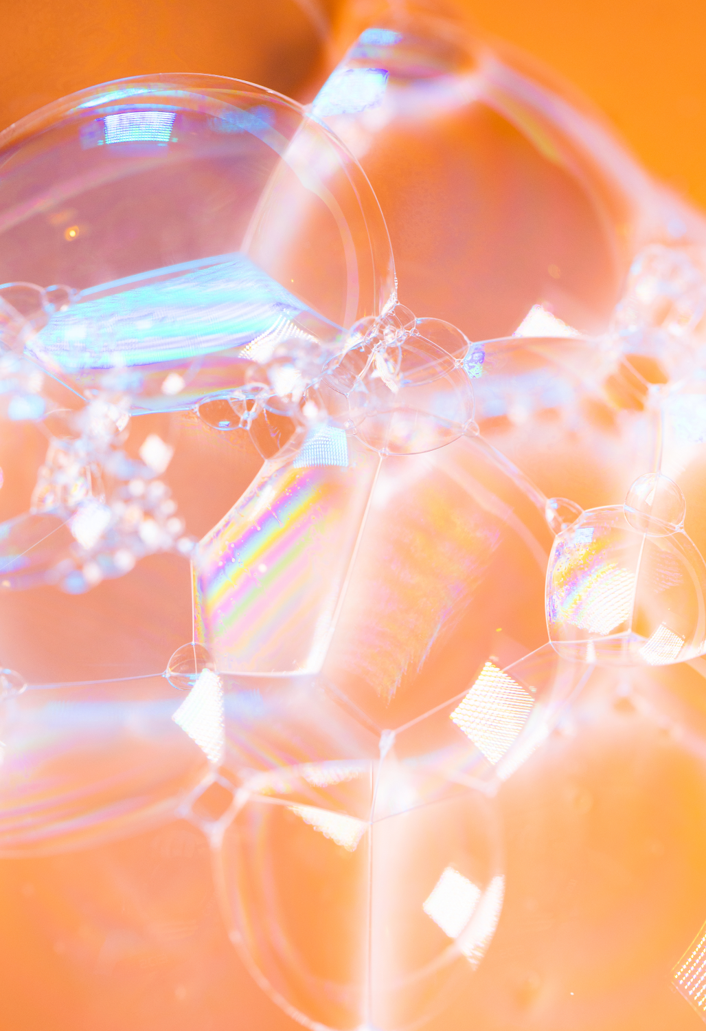 Wavetech Wave Shampoo