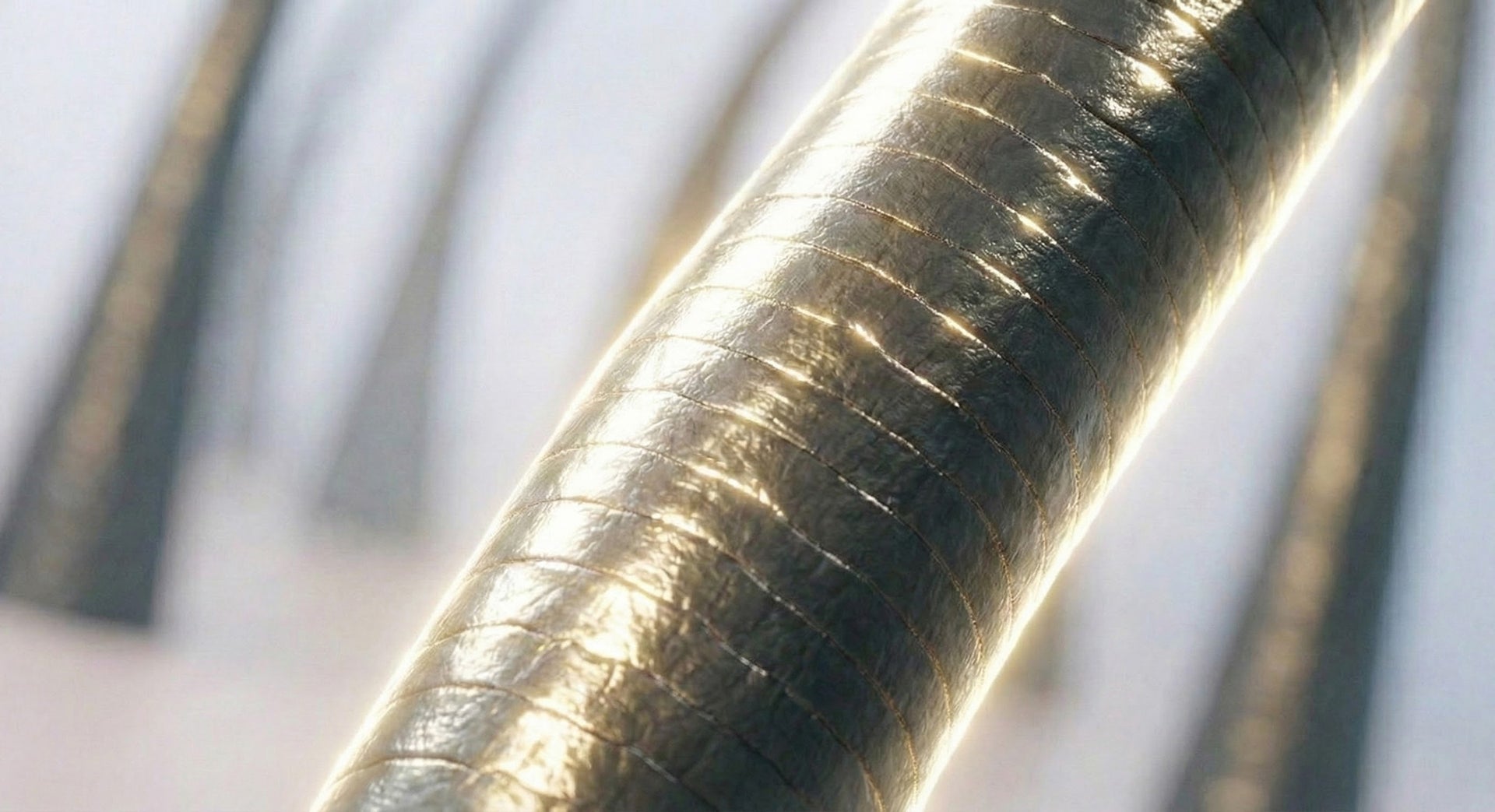 Hair appears stronger, smoother, and more resilient.