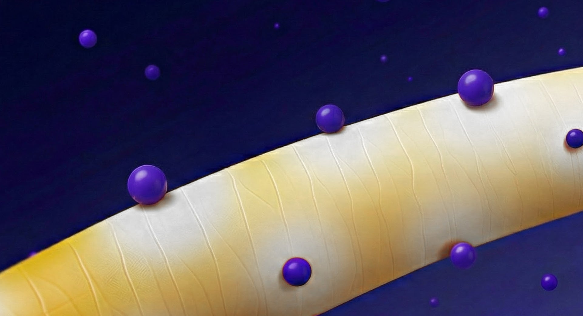 Violet pigments and conditioning nutrients rebalance tone and enhance light reflection.