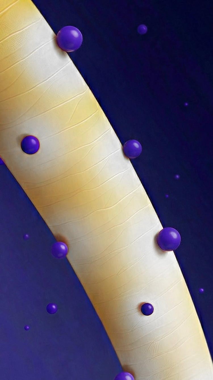 Violet pigments and conditioning nutrients rebalance tone and enhance light reflection.