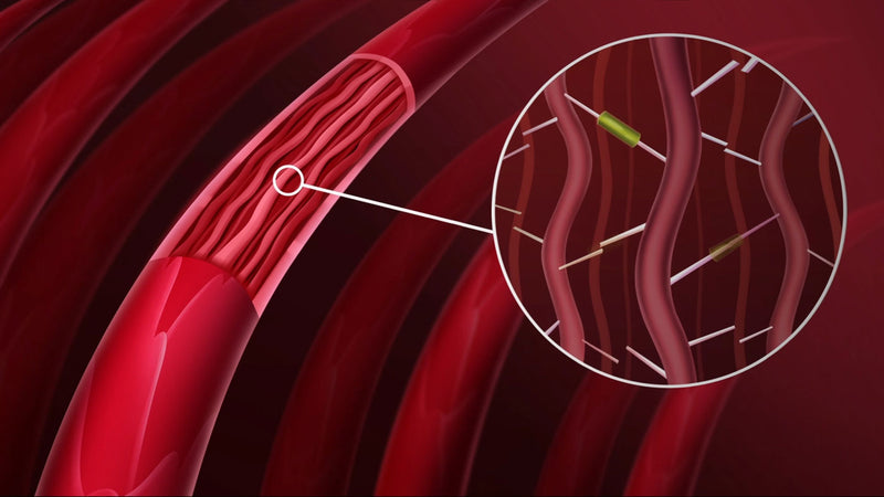 Video explainig how Bond Booster by XMONDO Hair works