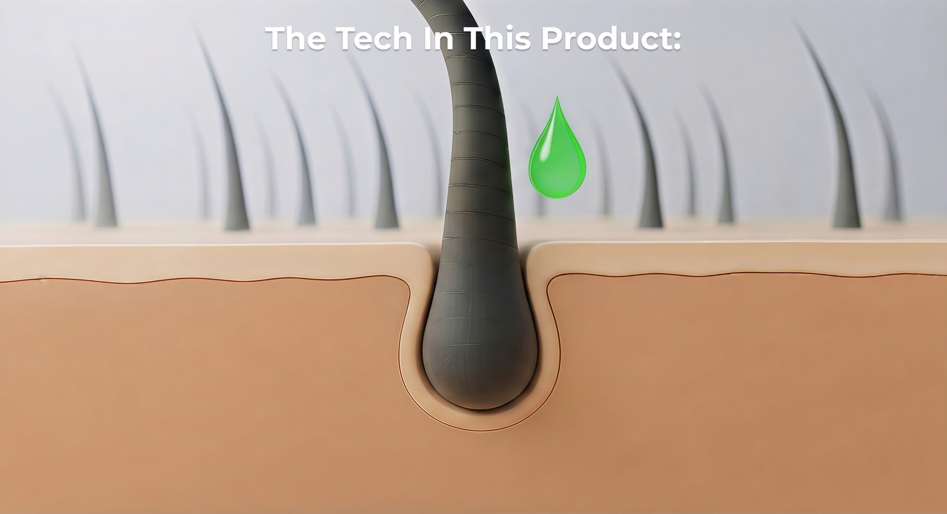 Scalp Care Technology helps regulate oil levels to maintain a balanced scalp environment.