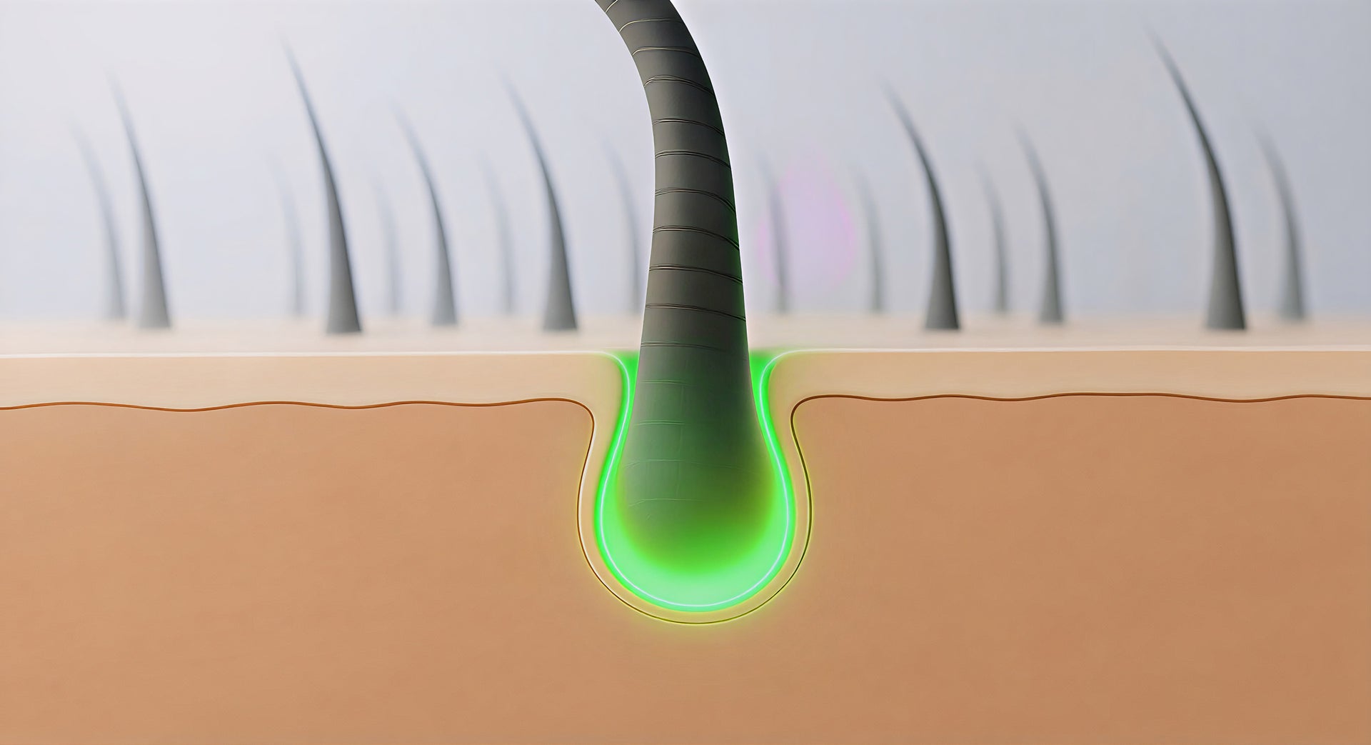 Targeted actives support microbiome balance and follicle function.