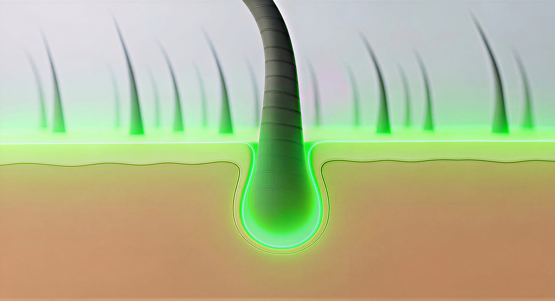 The result is an optimal scalp environment for healthy hair growth.