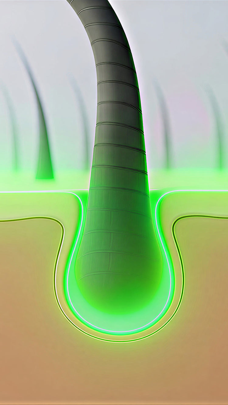 The result is an optimal scalp environment for healthy hair growth.