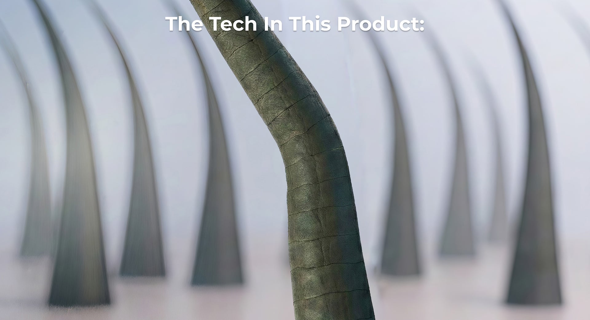 Vitaplump Technology™ identifies under-supported hair fibers at the strand level.