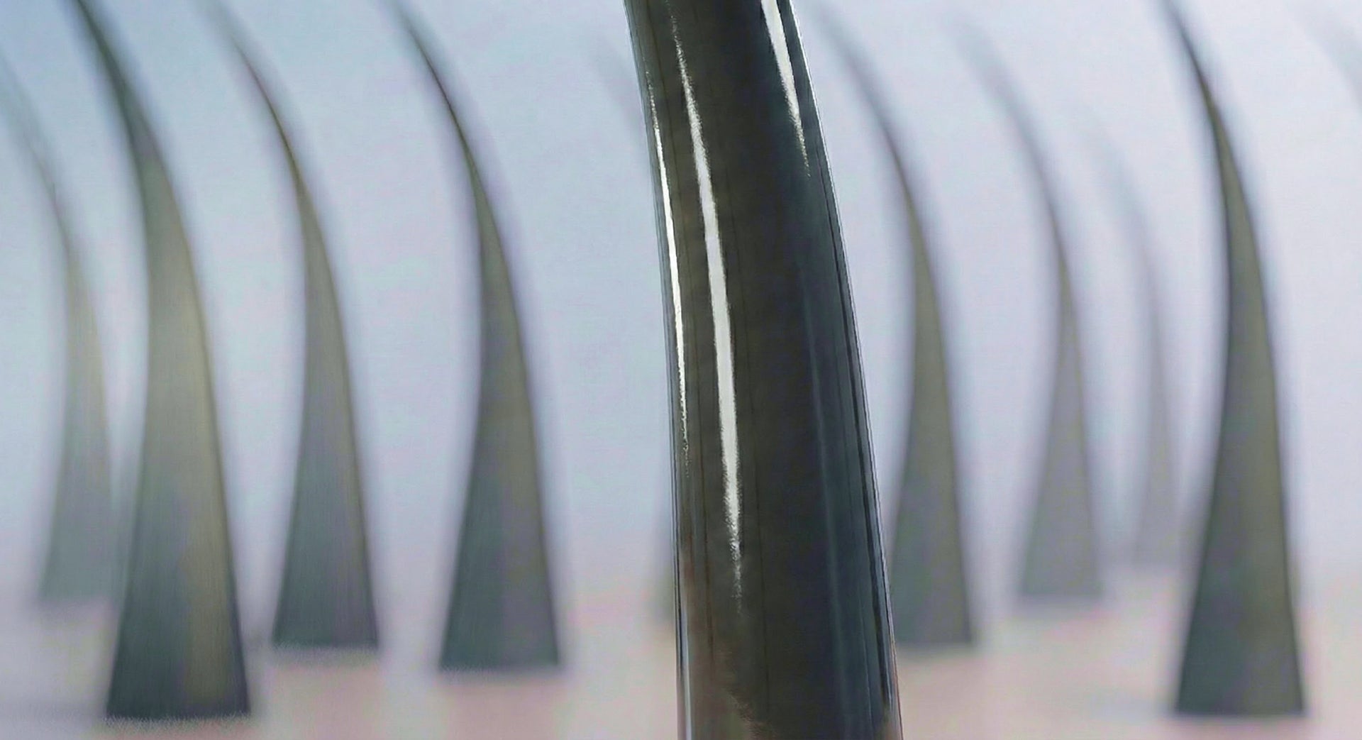 The expanded fiber appears thicker, smoother, and structurally reinforced.