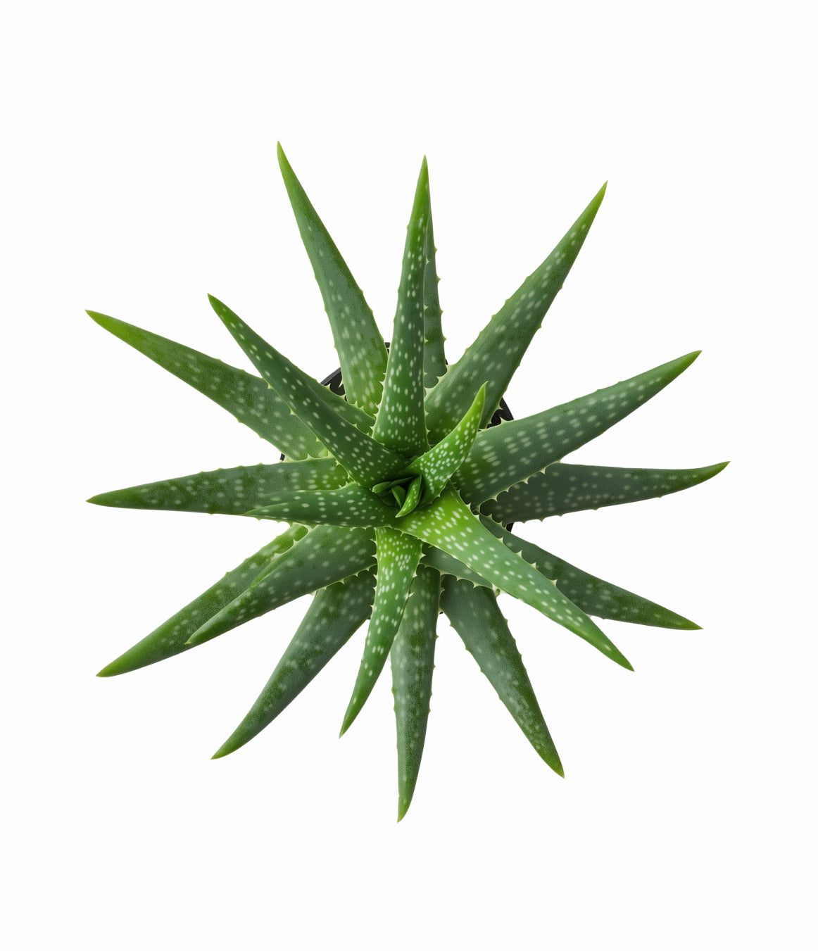 Column background image